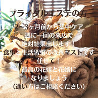 ブログ